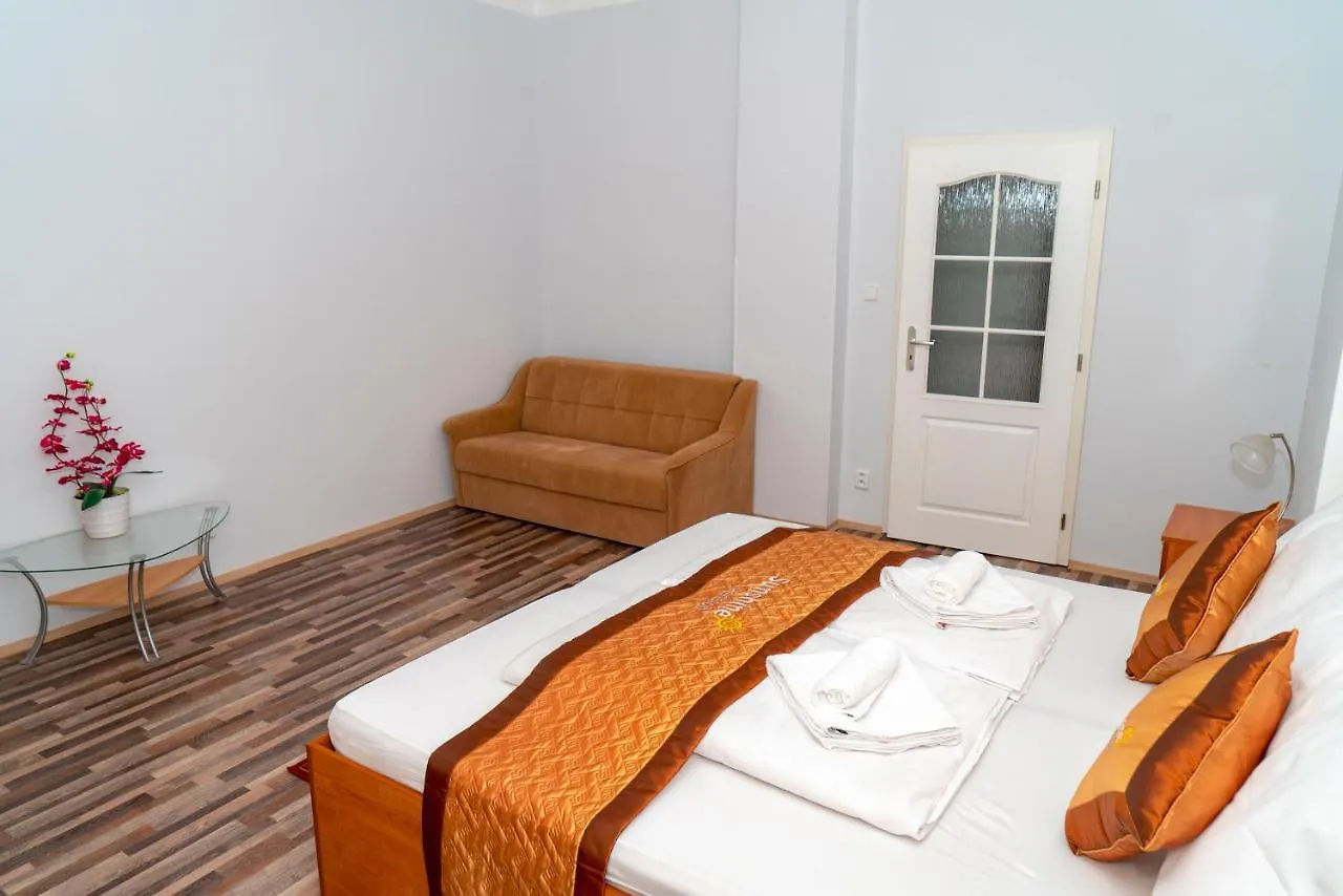 Sunshine Pension Karlovy Vary 0*,