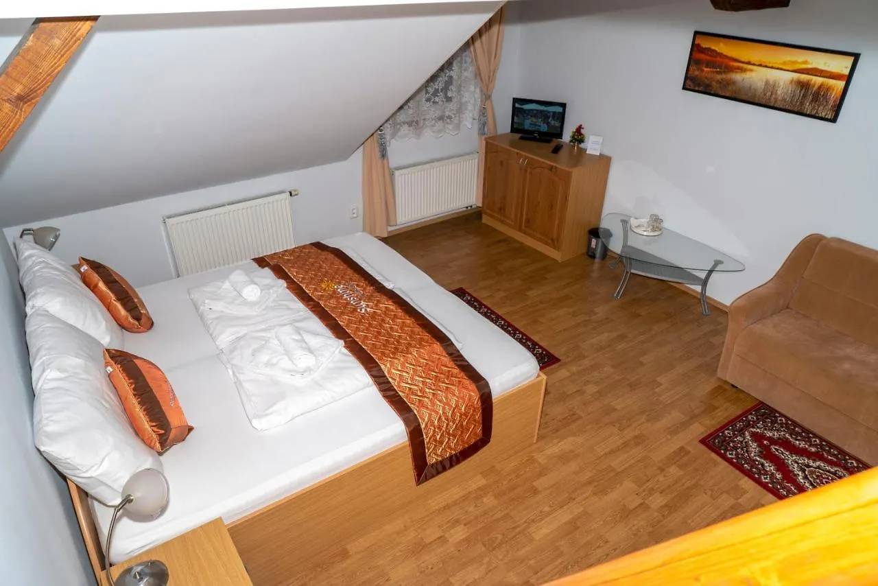 Sunshine Pension Karlovy Vary Guest house